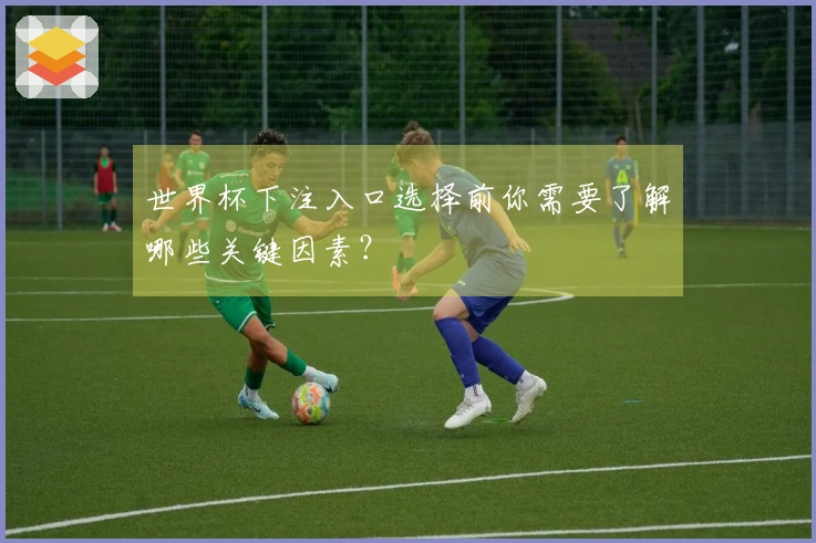 世界杯下注入口选择前你需要了解哪些关键因素？