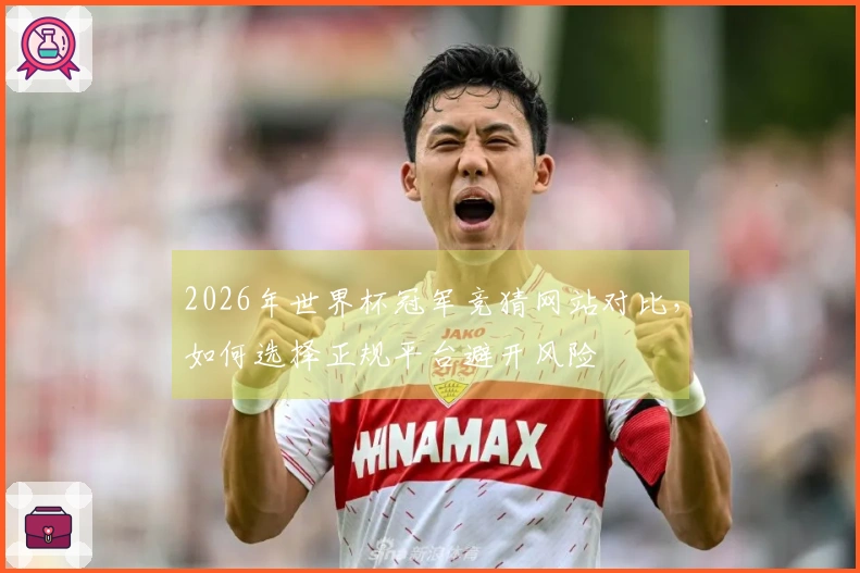 2026年世界杯冠军竞猜网站对比，如何选择正规平台避开风险