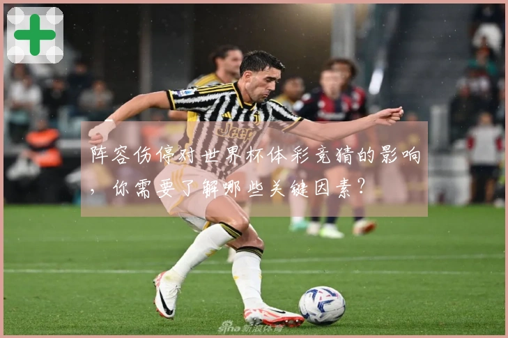 阵容伤停对世界杯体彩竞猜的影响，你需要了解哪些关键因素？