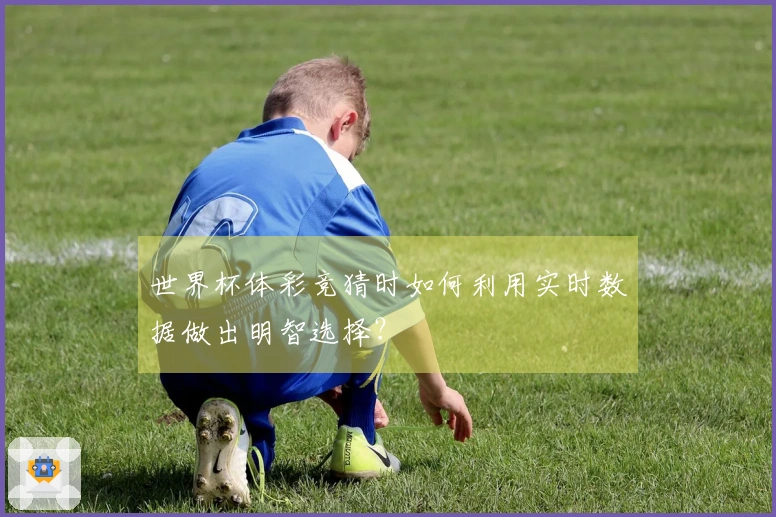 世界杯体彩竞猜时如何利用实时数据做出明智选择？