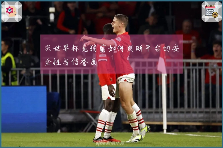 买世界杯竞猜前如何判断平台的安全性与信誉度