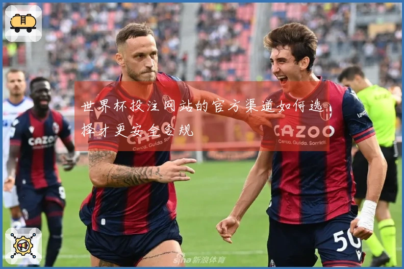 世界杯投注网站的官方渠道如何选择才更安全合规