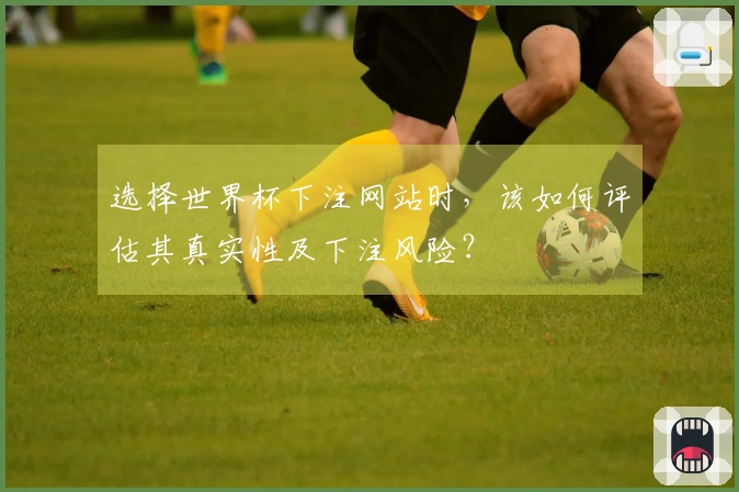 选择世界杯下注网站时，该如何评估其真实性及下注风险？