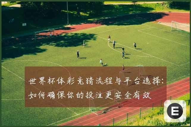 世界杯体彩竞猜流程与平台选择：如何确保你的投注更安全有效