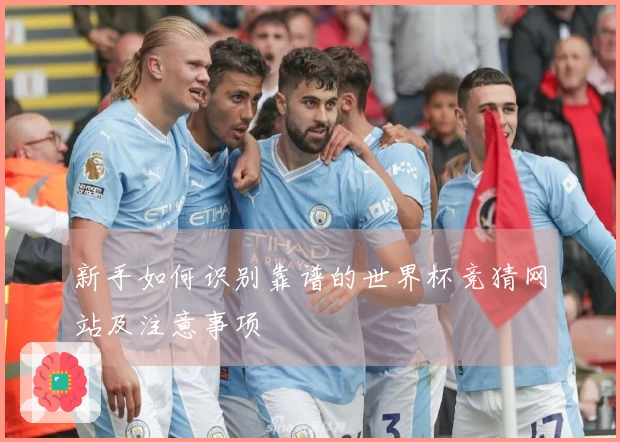 新手如何识别靠谱的世界杯竞猜网站及注意事项