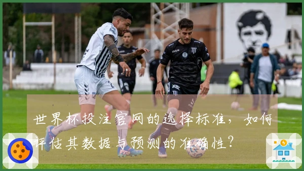 世界杯投注官网的选择标准，如何评估其数据与预测的准确性？