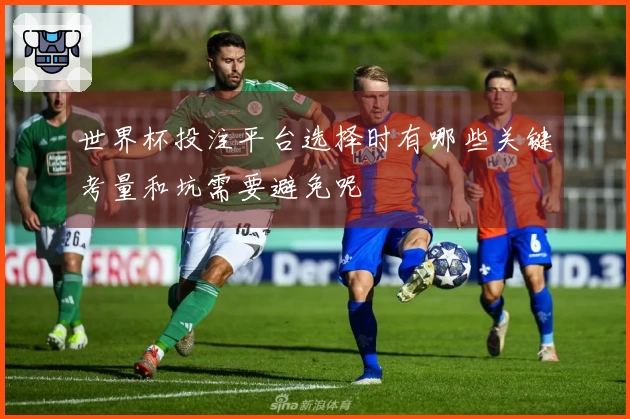 世界杯投注平台选择时有哪些关键考量和坑需要避免呢