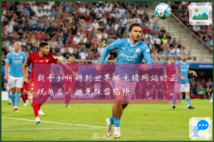 新手如何辨别世界杯竞猜网站的正规与否，避免踩雷陷阱