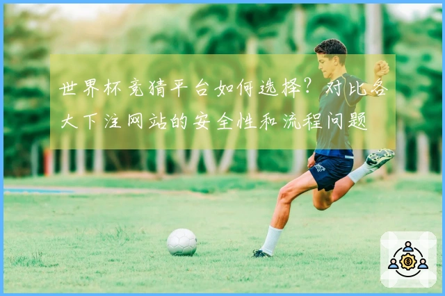世界杯竞猜平台如何选择？对比各大下注网站的安全性和流程问题