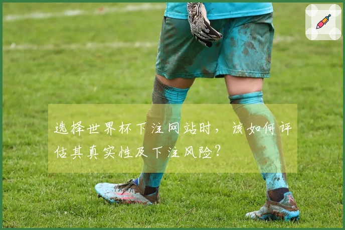 选择世界杯下注网站时，该如何评估其真实性及下注风险？