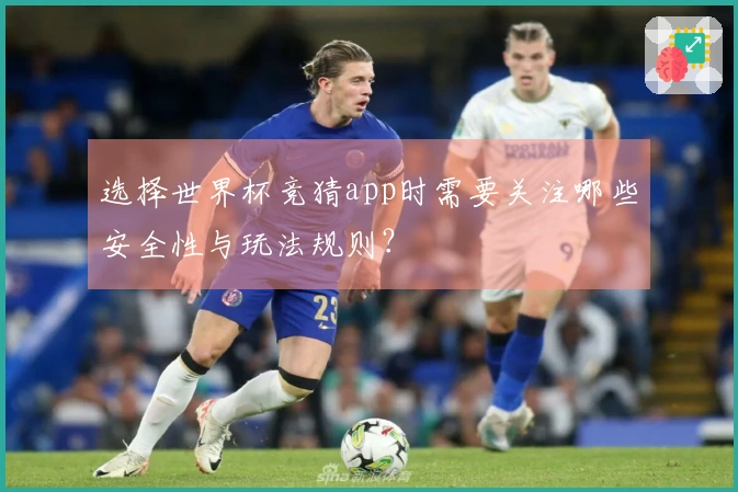选择世界杯竞猜app时需要关注哪些安全性与玩法规则？