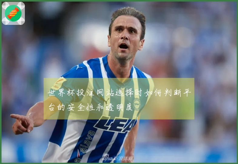 世界杯投注网站选择时如何判断平台的安全性和透明度