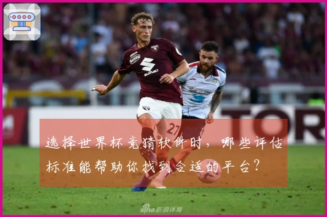 选择世界杯竞猜软件时，哪些评估标准能帮助你找到合适的平台？