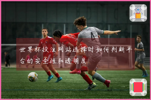 世界杯投注网站选择时如何判断平台的安全性和透明度