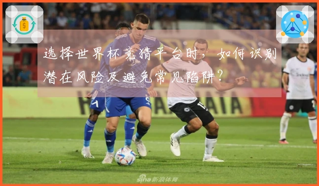 选择世界杯竞猜平台时，如何识别潜在风险及避免常见陷阱？