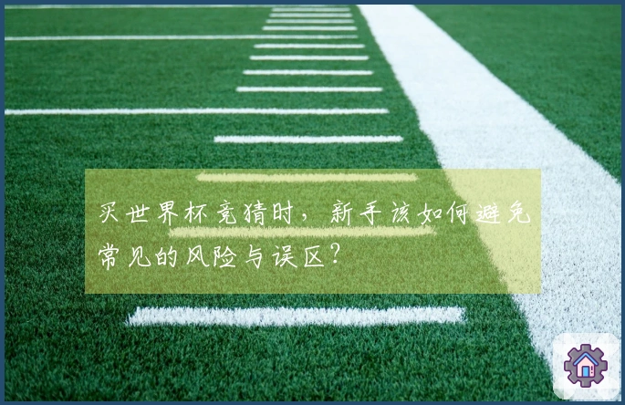 买世界杯竞猜时，新手该如何避免常见的风险与误区？