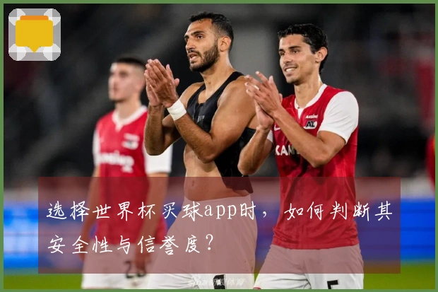 选择世界杯买球app时，如何判断其安全性与信誉度？